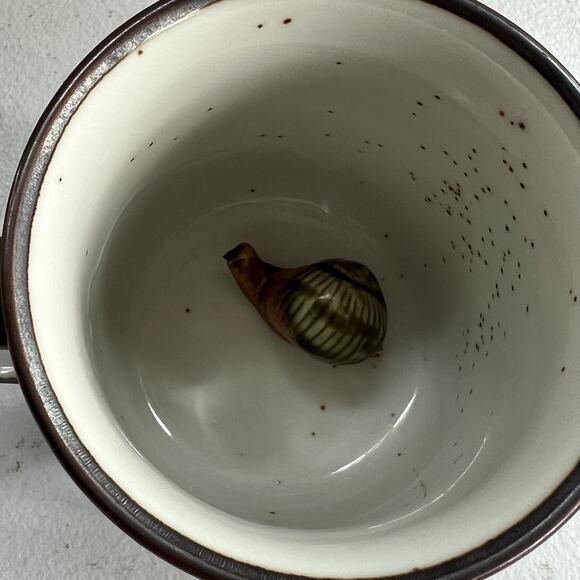 Ceramic Mug Set Of 2 With Hidden 3D Snail & Bunny 3.5" - Picture 6 of 12